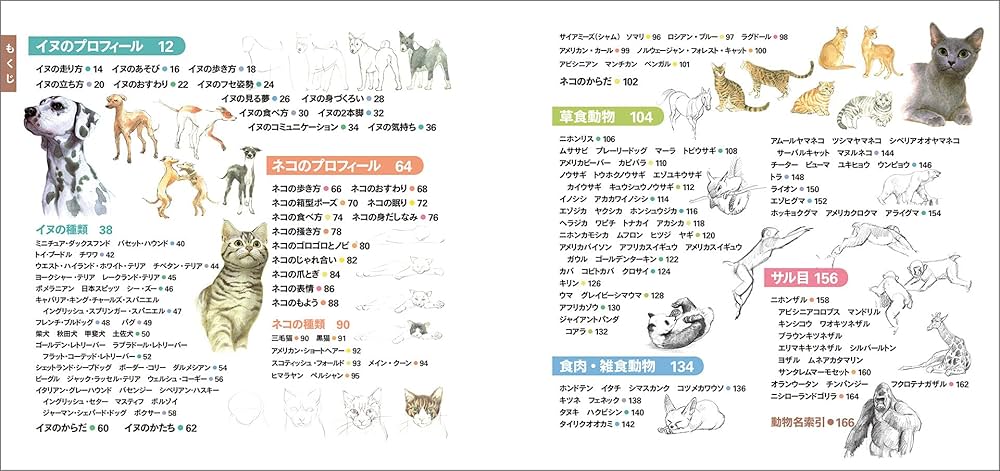 動物を描く Amazon.com: To draw, reading and View 80 seed 16 species